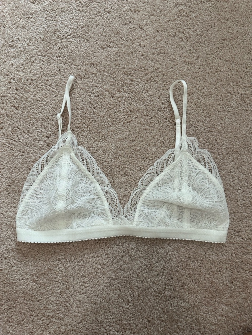 Aritzia Talula Sheer Lace Bralette